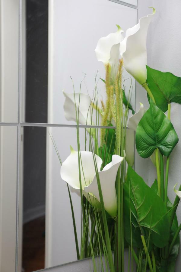 Skadar Apartment Belgrad Zewnętrze zdjęcie